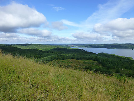 Lac et forêt