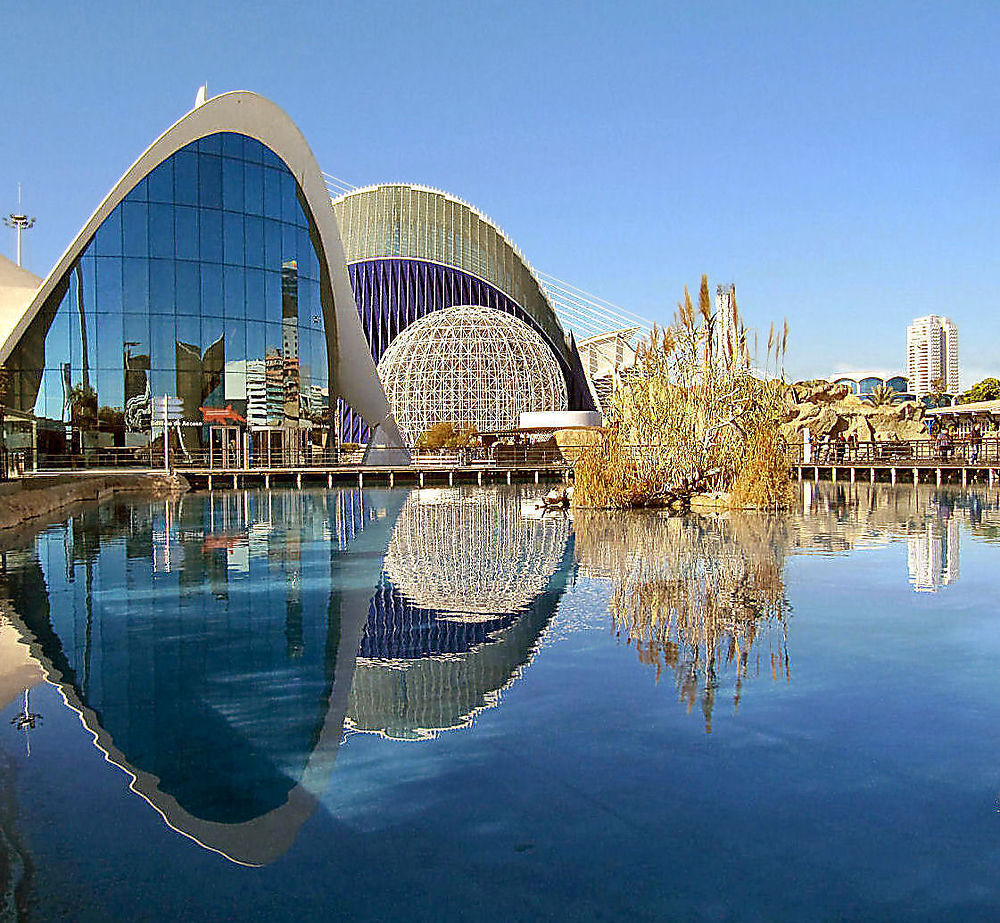 L'aquarium de Valence, Espagne