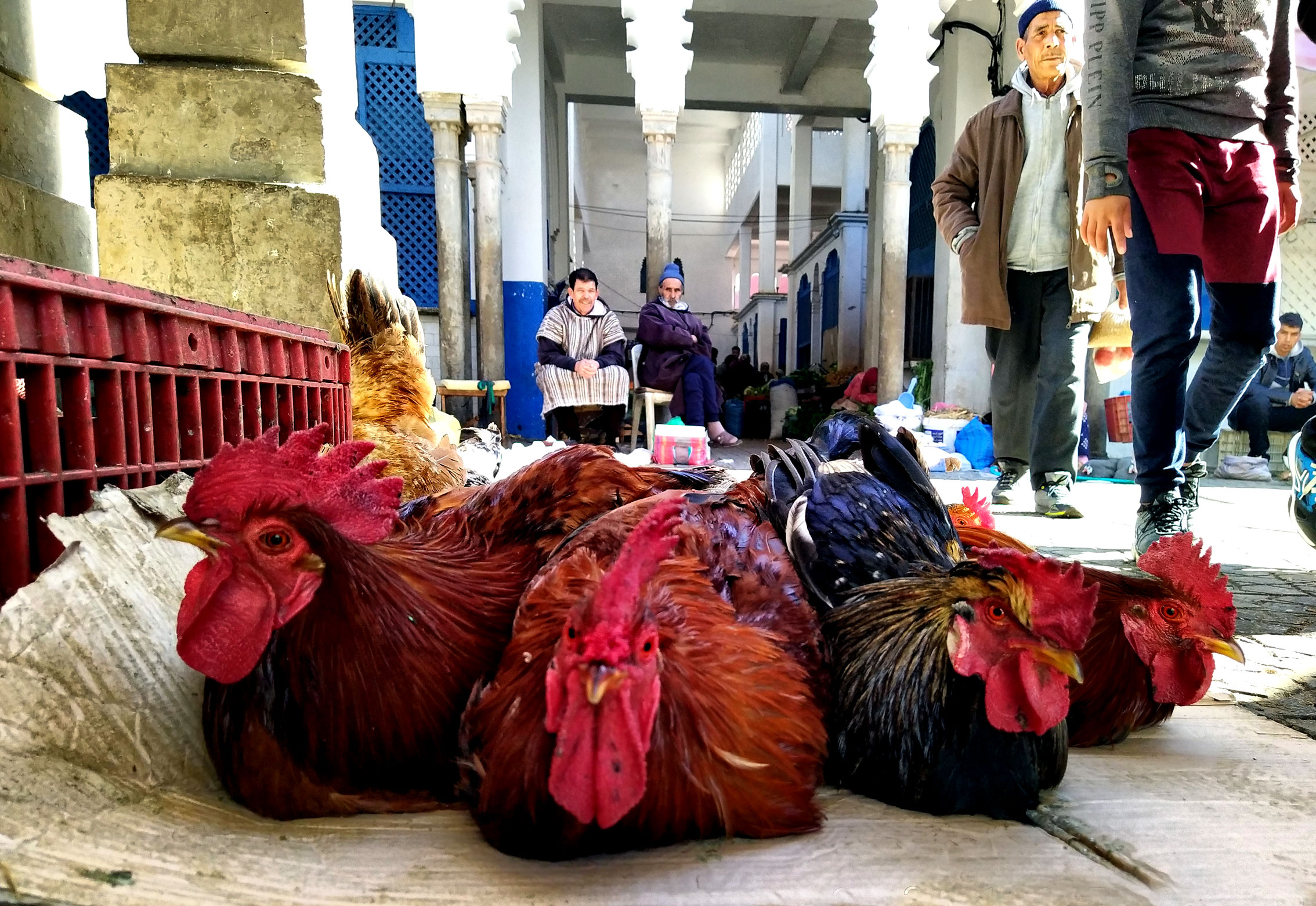 Larache centre ville marché Larache centre ville marché