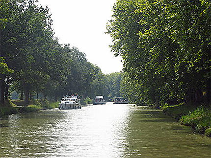 Canal du Midi dans les environs de Carcassonne (direction Toulouse)