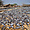 Séchage de poissons sur la plage de Chembe