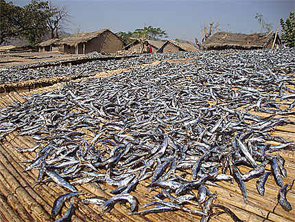Séchage de poissons sur la plage de Chembe