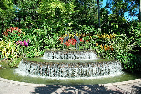Jardins Botaniques Jardins Botaniques