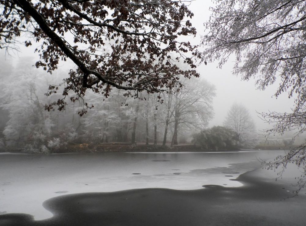 Le parc du Landreau 