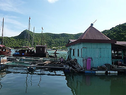 Village flottant autour de Cat Ba