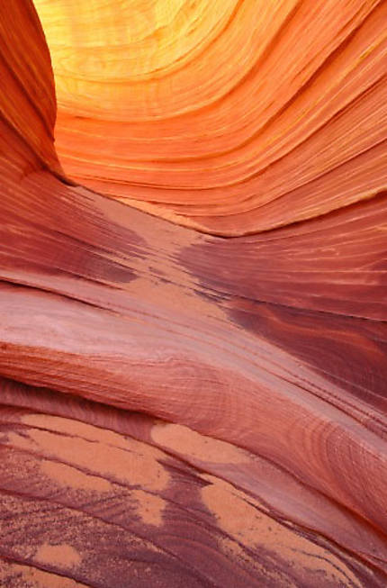 Coyote buttes North: The wave