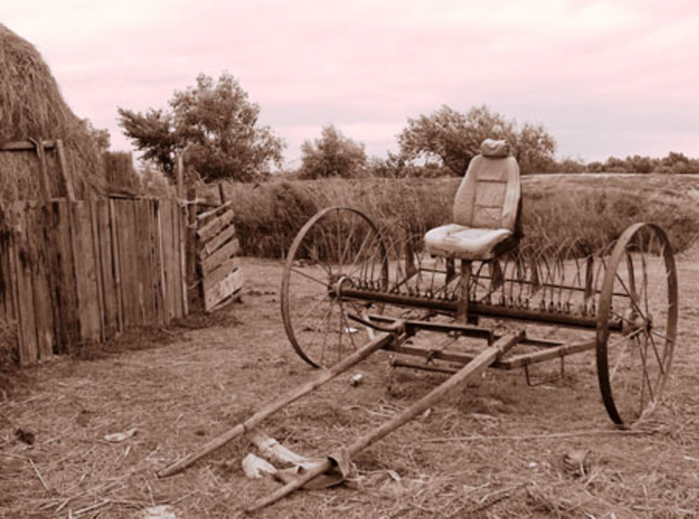 Voiture des champs roumaine