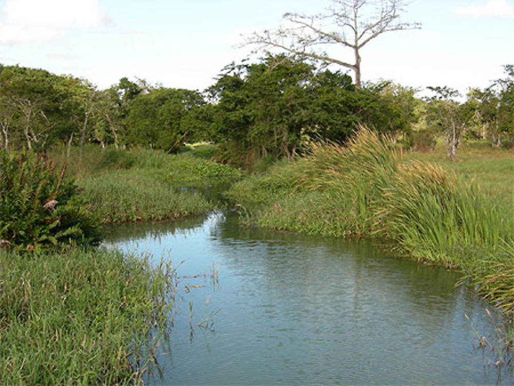 Canal de Belle-Plaine