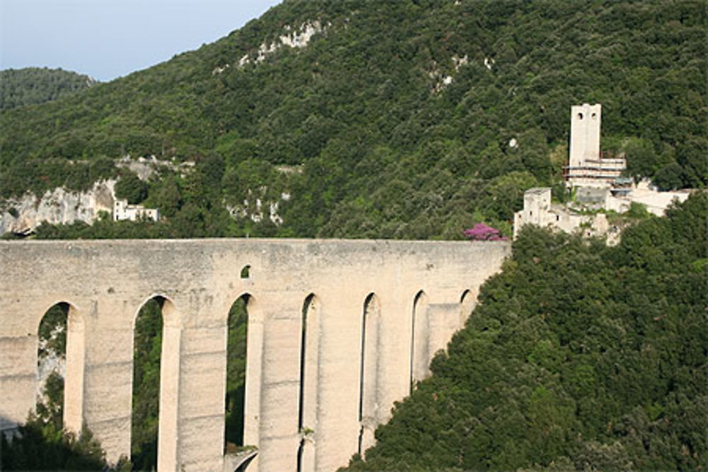 Ponte delle Torri