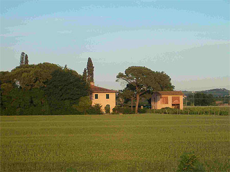 Fattoria la scaletta Fattoria la scaletta