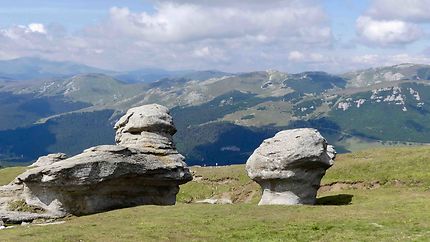 Monts Bucegi