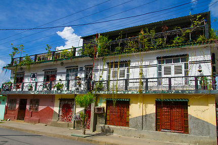 Balcon nature à Cienfuegos
