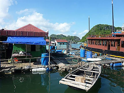 Village flottant autour de Cat Ba