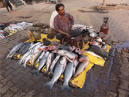 Vendeur de poissons