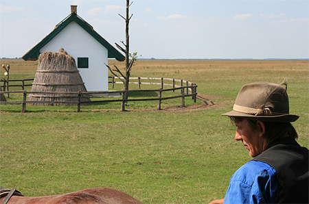 Découverte de la Puszta en calèche Découverte de la Puszta en calèche