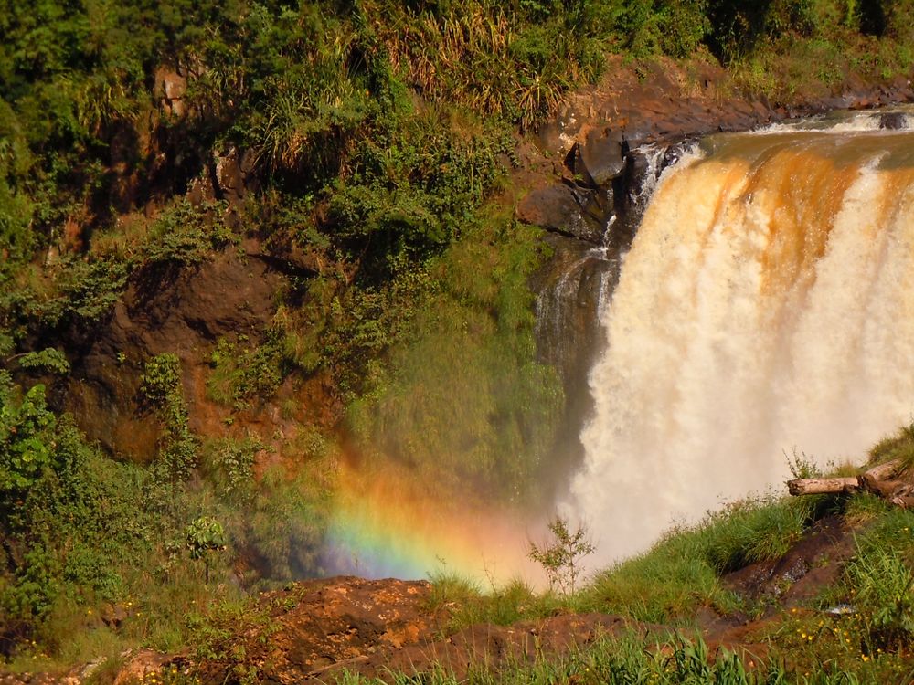 Saltos del Monday