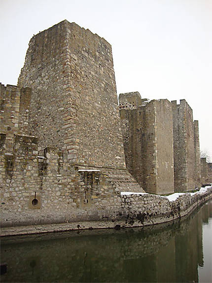 La forteresse de Smederevo
