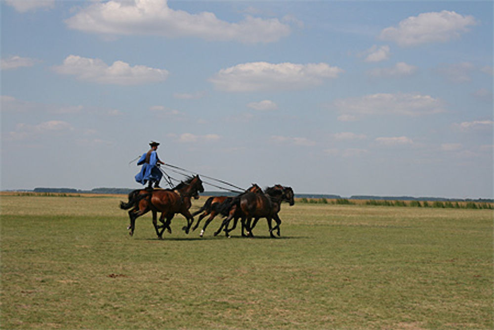 Démonstration équestre dans la Puszta