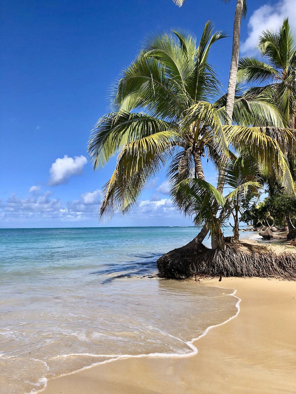 Plage paradisiaque 