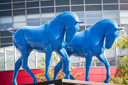 St-Etienne, Les chevaux bleus