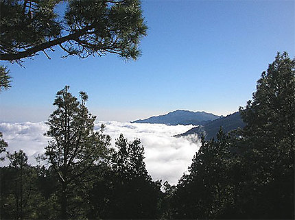 Pico de la Nieve, La Palma