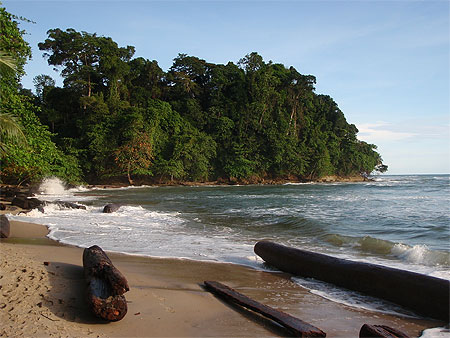 La plage La plage