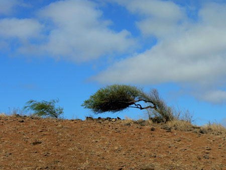 Sous le vent Sous le vent