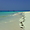 Zanzibar: le paradis tranquille