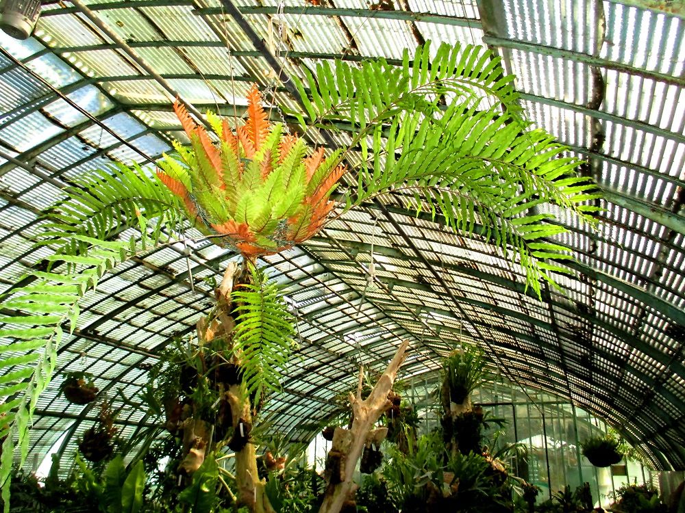 Jardin des serres d'Auteuil