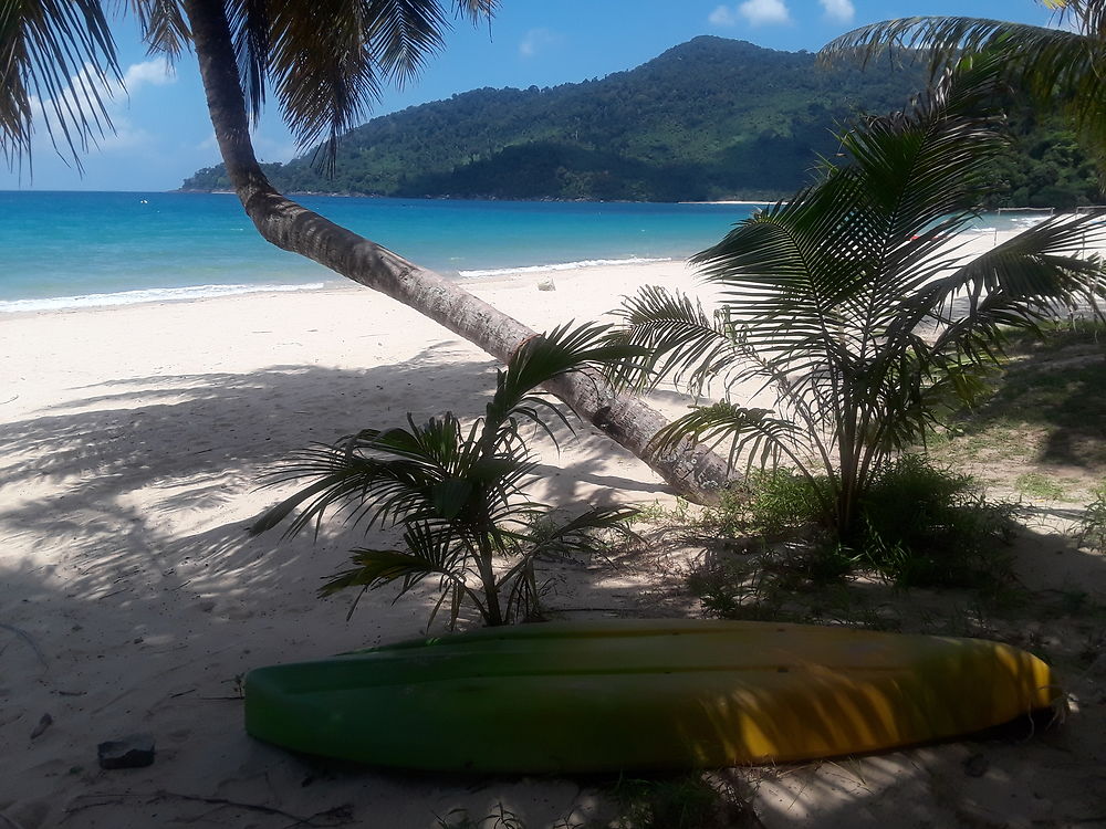 Le paradis à Tioman 