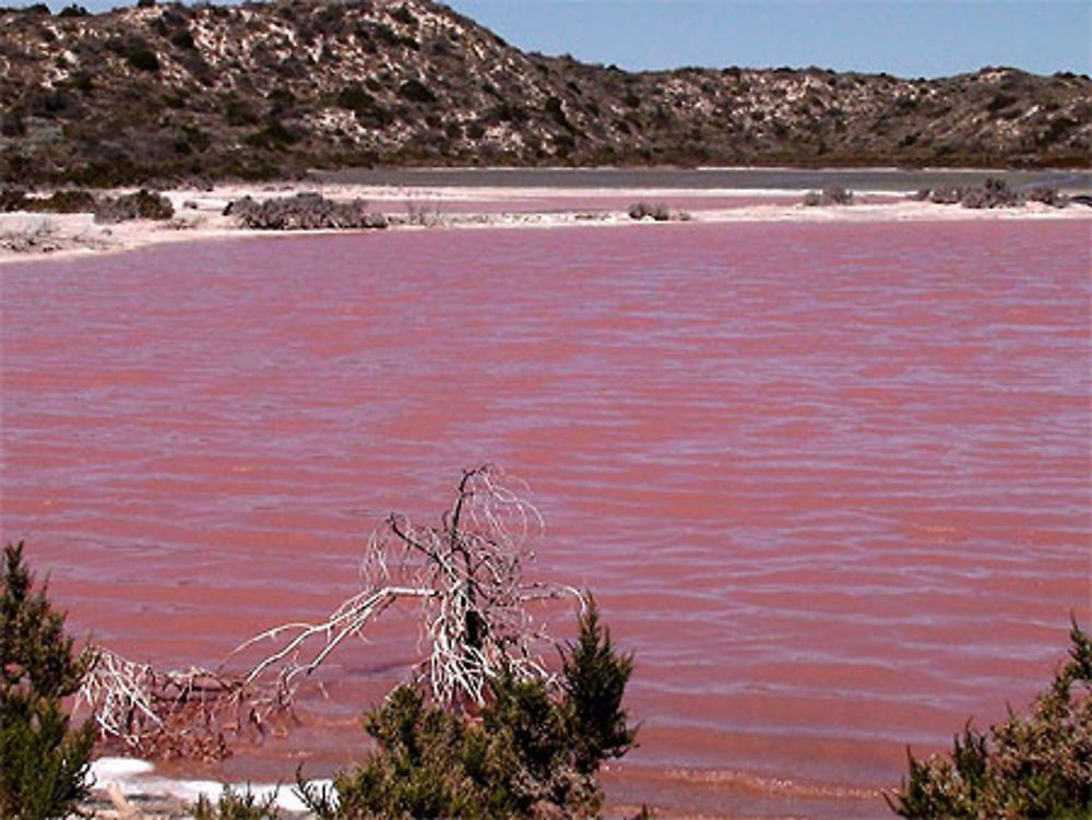 Pink Lake