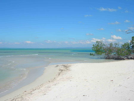 La plage La plage