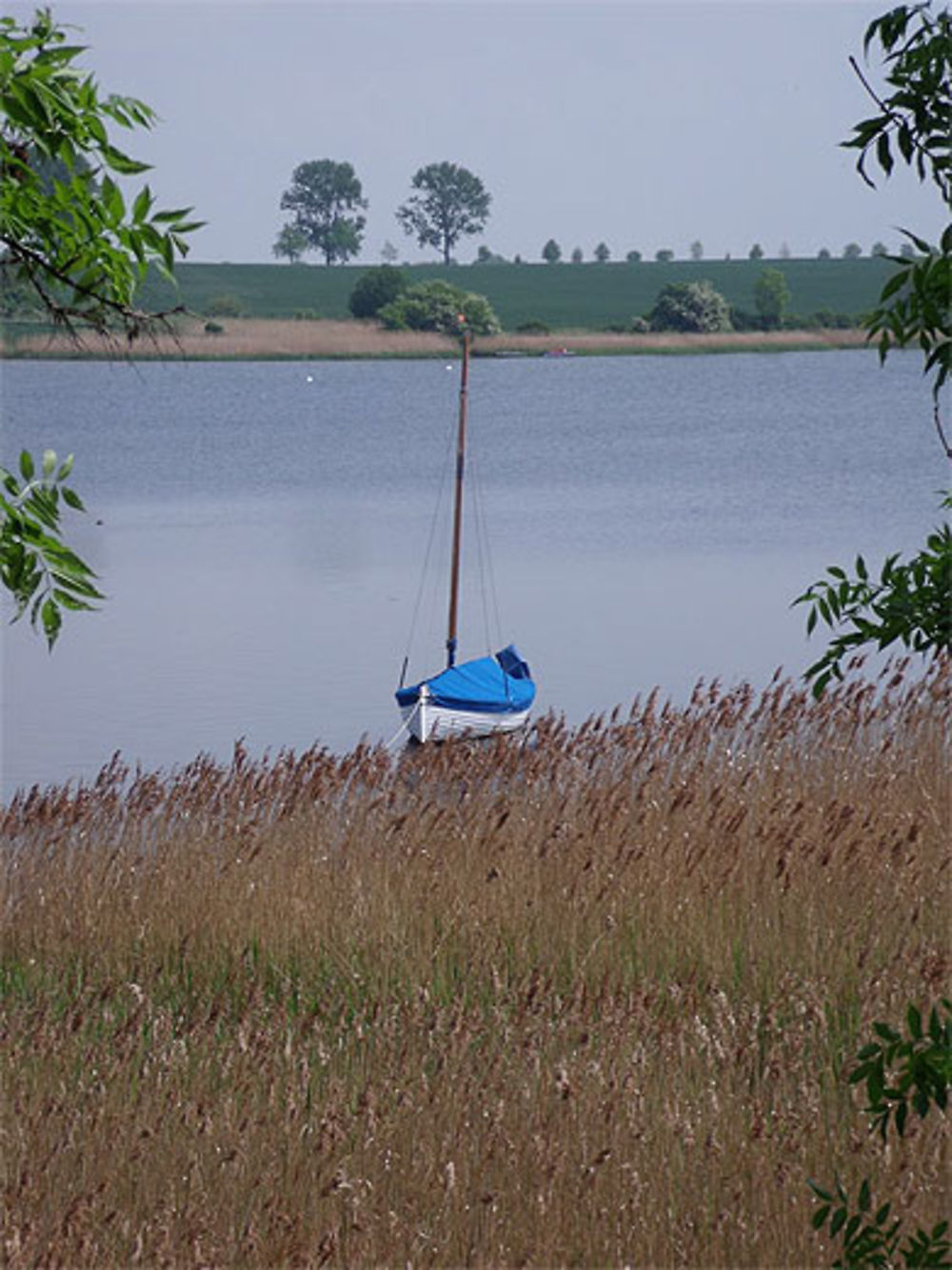 île de Poel