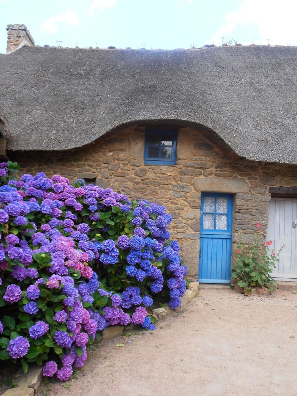 Hortensias et toits de chaume