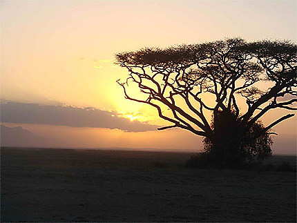 Couché de soleil sur Amboseli