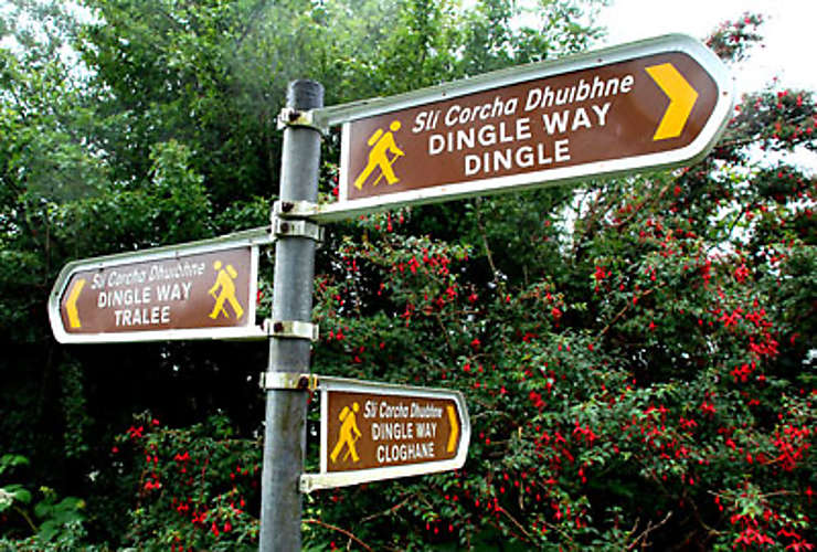 La Dingle Way à pied