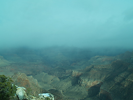 Le brouillard se lève sur le Grand Canyon