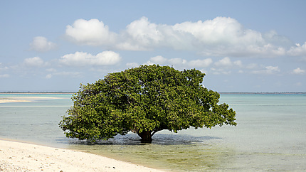 Rukila island