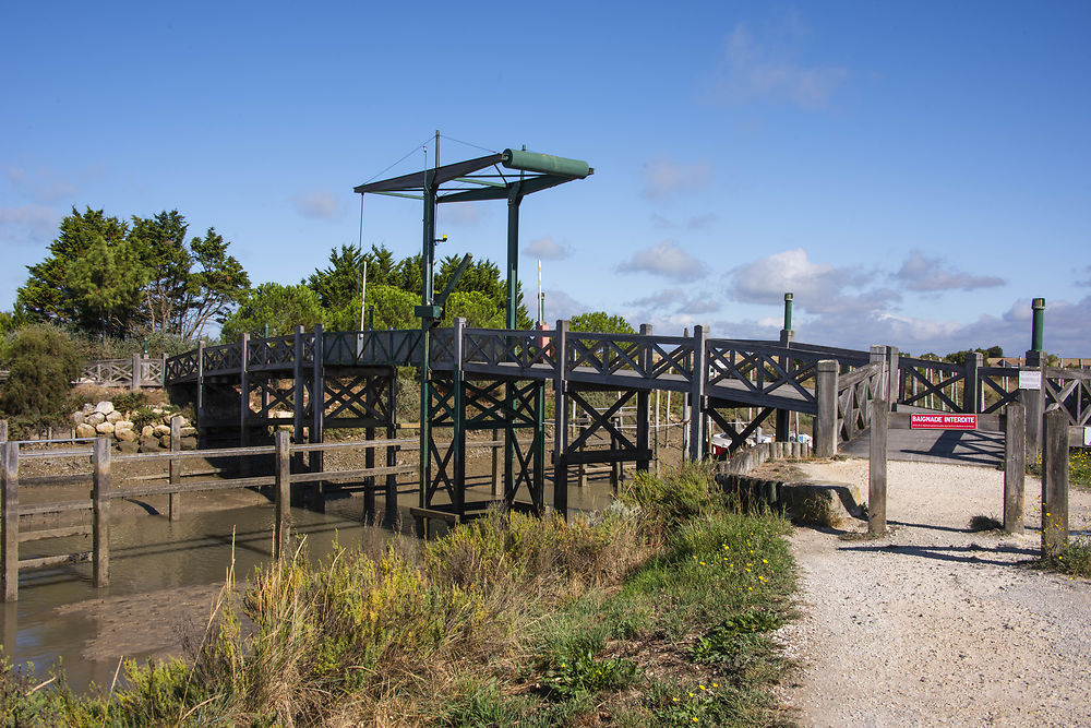 Passerelle au Port du Plomb