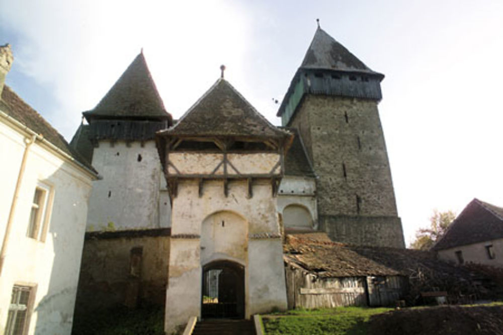 CITADELLES SAXONNES : IACOBENI