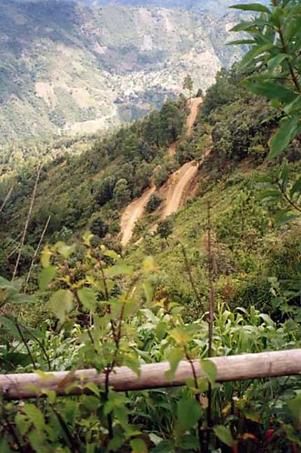Quiegolani - plantation à flanc de montagne
