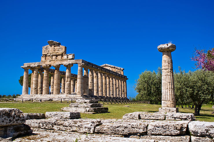 Paestum : un temple grec majeur en Campanie