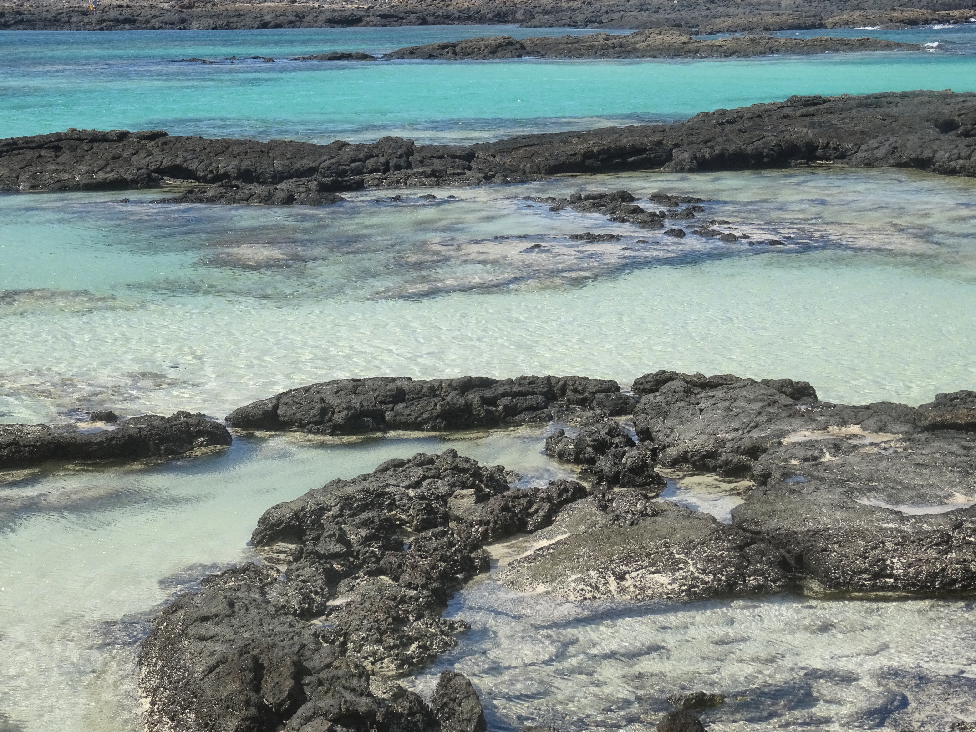50 shades of blue! 50 shades of blue!