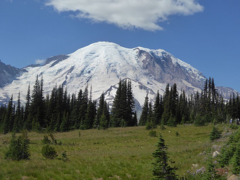 Mount rainier vu depuis Sunrise Visitor Center