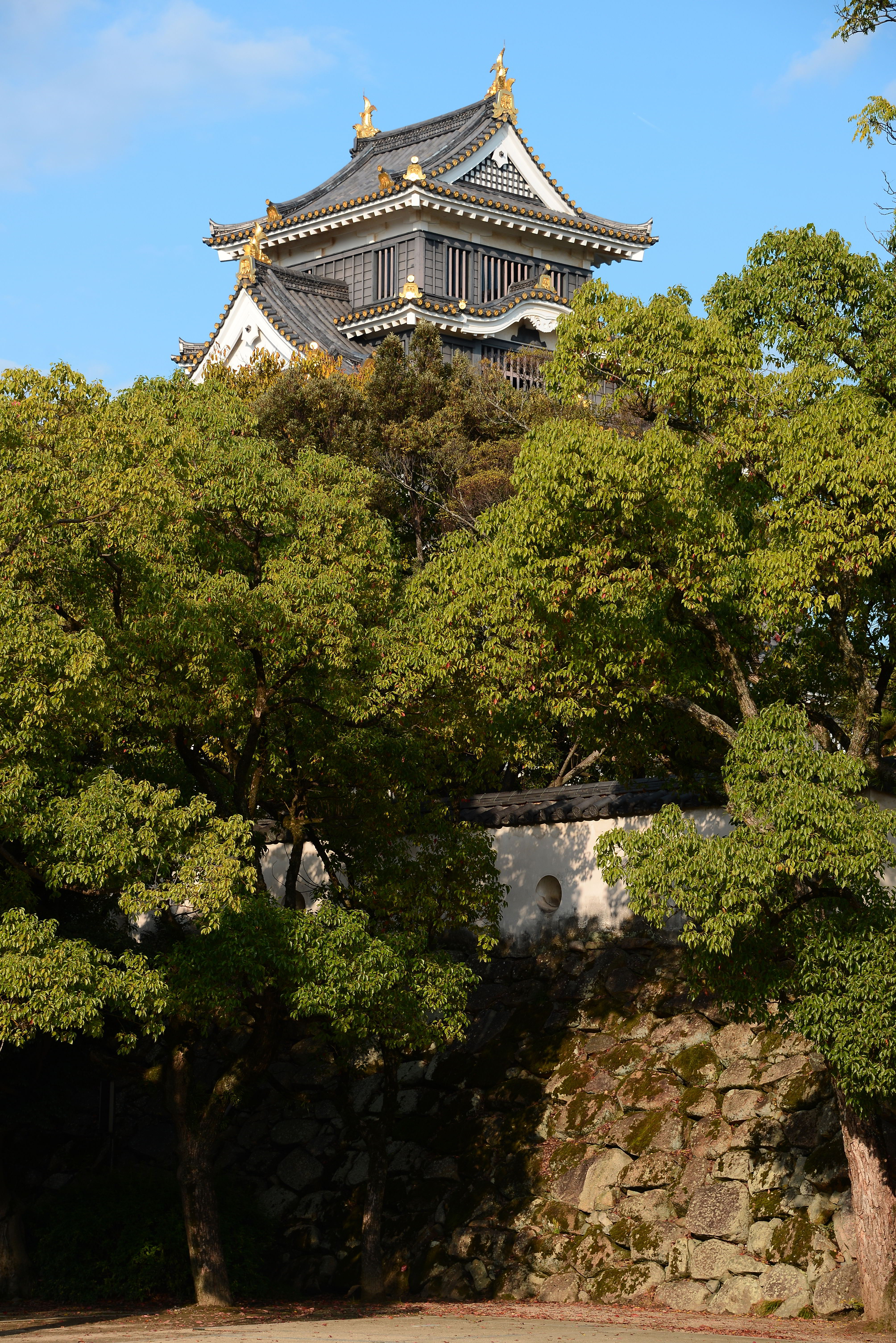 Château de Matsue Château de Matsue