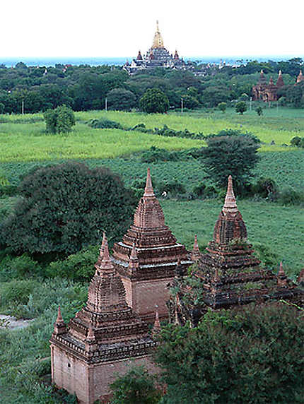 La plaine de Bagan