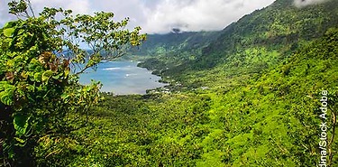 Les Samoa en Immersion
