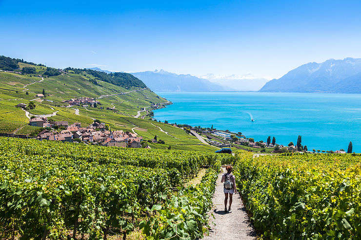 Les routes des vins en Suisse