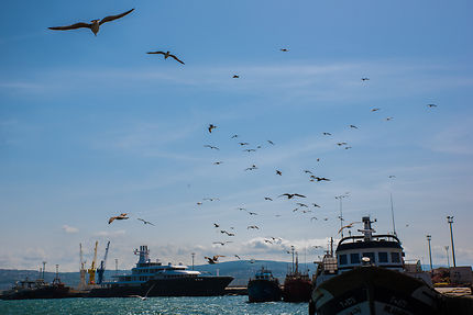 Le port de pêche de Tanger