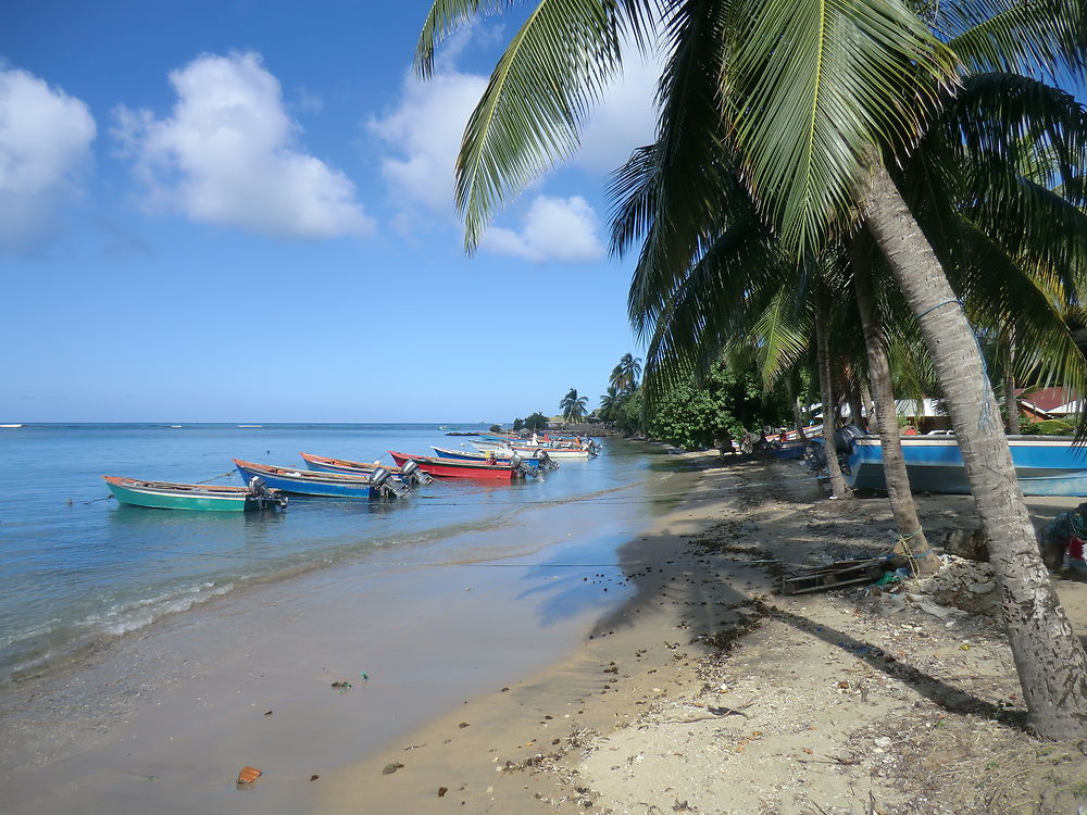 Plage de Tartane